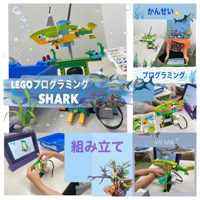 Study Bambi　泉が丘教室/LEGOプログラミング🦈