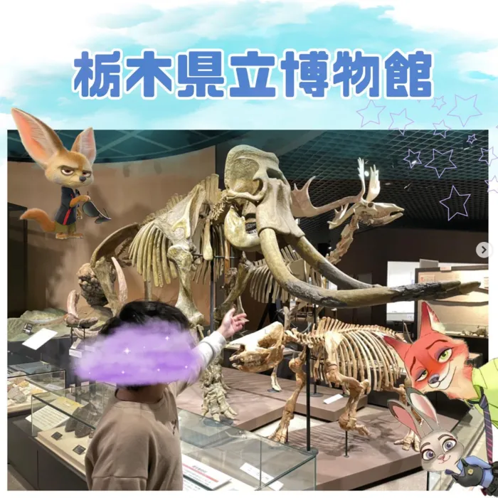 Study Bambi　泉が丘教室/栃木県立博物館🦖