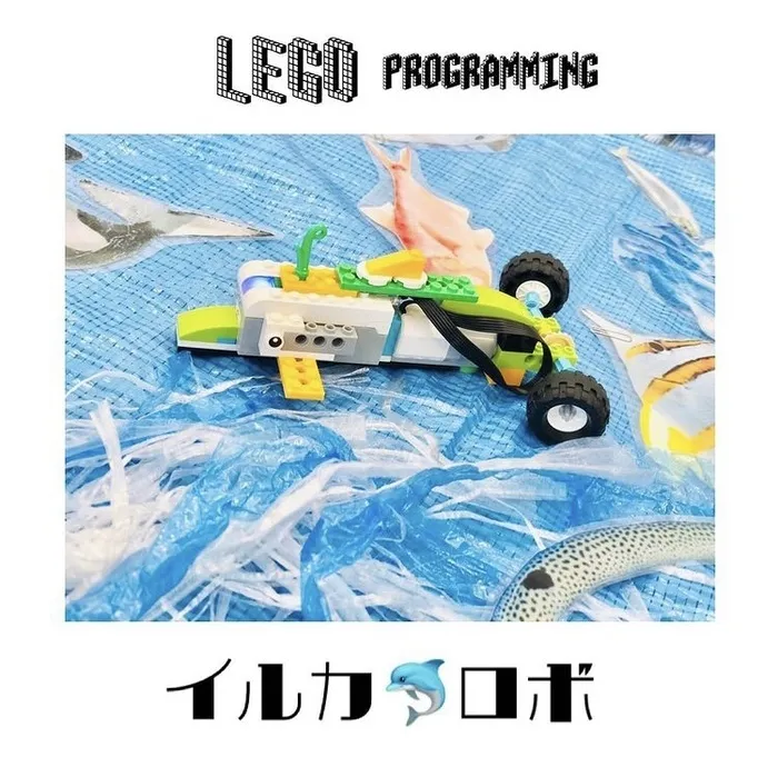 Study Bambi　泉が丘教室/LEGOプロ♪イルカロボ🐬