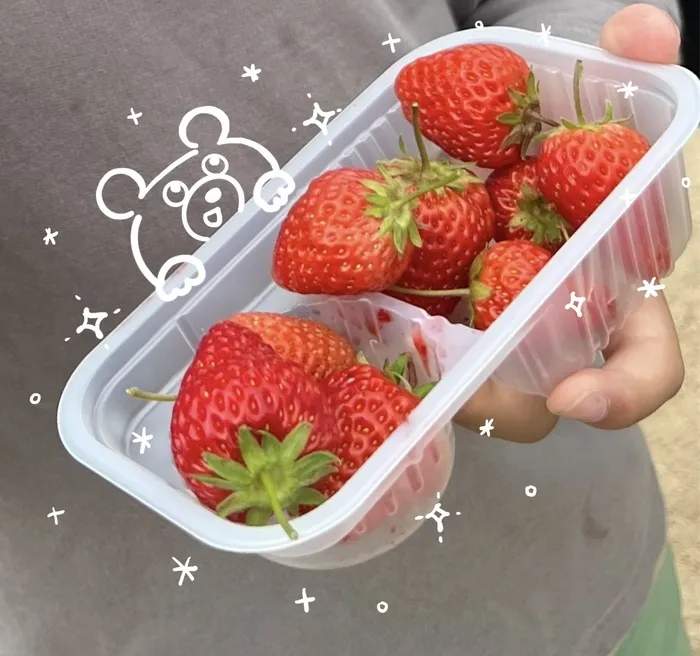 【広島県指定事業所】kids space リフライズ府中本町/いちご狩り🍓