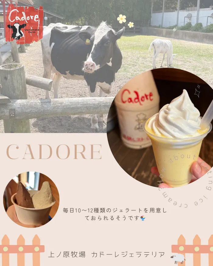【広島県指定事業所】kids space リフライズ府中本町/上ノ牧場カドーレ🐮
