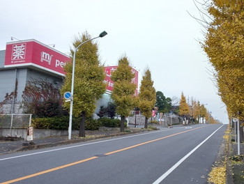 こすもすカレッジジュニア/外部環境