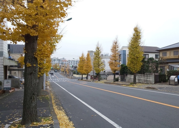 こすもすカレッジジュニア/外部環境