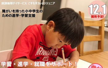 こすもすカレッジジュニア/プログラム内容