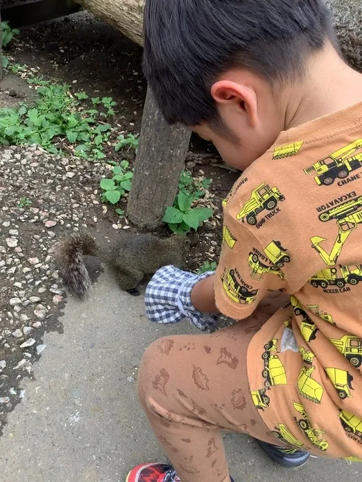 ブロッサムジュニア若葉台はるひ野教室/親子行事～町田りす園へ行こう～