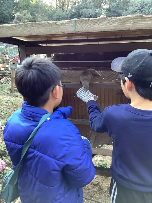 ブロッサムジュニア若葉台はるひ野教室/冬休みスペシャルウィーク　町田リス園に行こう！