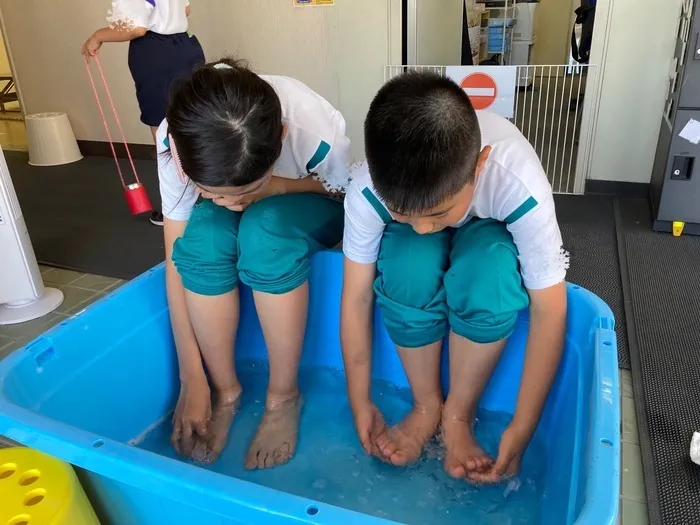 チップス　いみず/🍀先週の様子🍀
