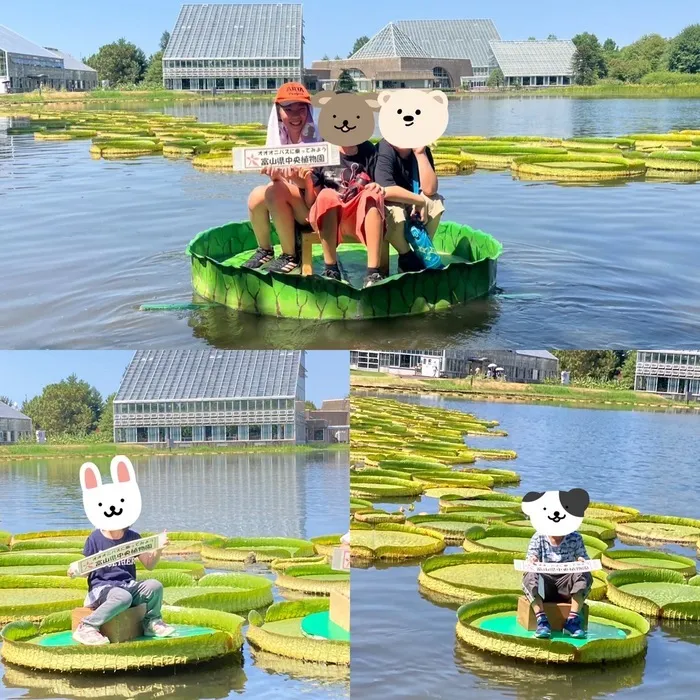 チップス　いみず/🌻夏休みのひとコマ🌻	