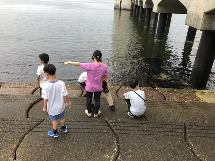 チップス　いみず/雨期の貴重な晴れ間☀