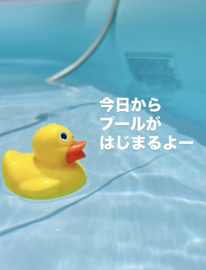 児童デイすぎと・ちいさな木/夏。と言えば、