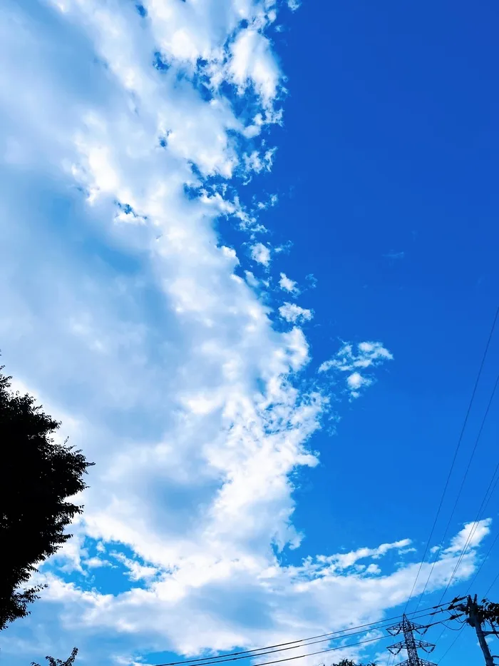 児童デイすぎと・ちいさな木/夏休み始まってます♪