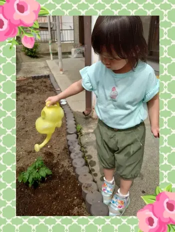 くれよん/夏野菜の苗植えしました！