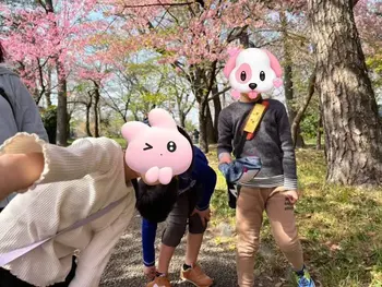 GROW UP こころ/【3月11日】　河津桜を見に行こう！