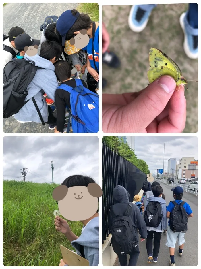 GRIPキッズ小向校/多摩川に自然観察に行きました！