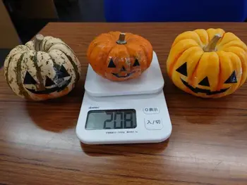 放課後等デイサービスGripキッズ行徳校/かぼちゃの重さをはかってみよう！
