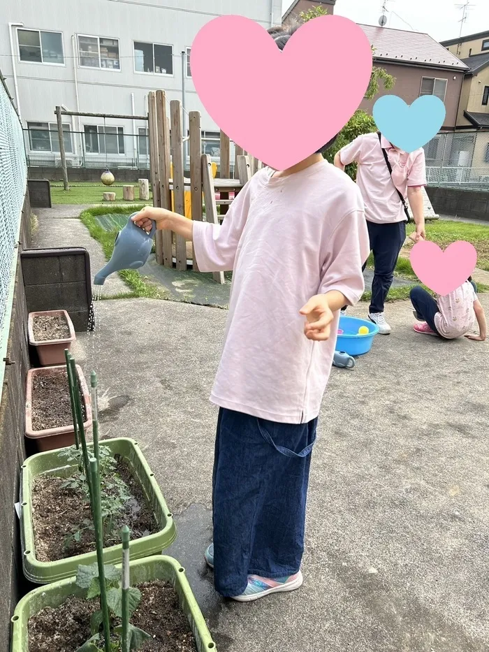 アルクキッズ/野菜の苗植え