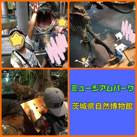 ヒトツナ武里教室/茨城県自然博物館🦕