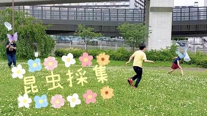 パンダの宝物　明治校/昆虫採取
