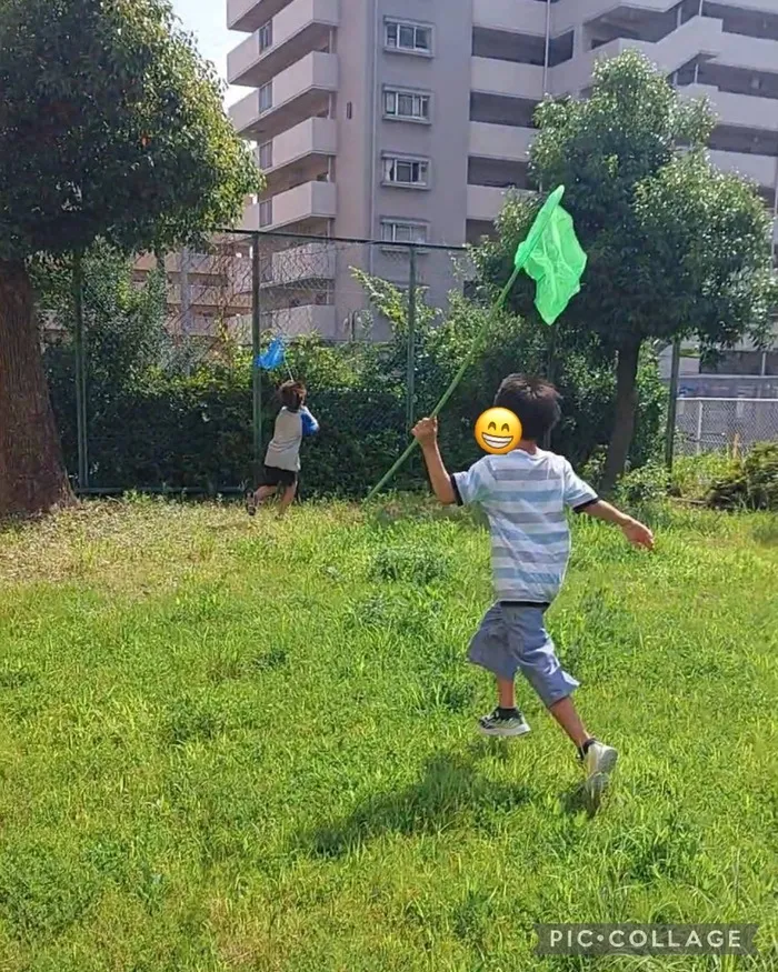 パンダの宝物　明治校/虫取り