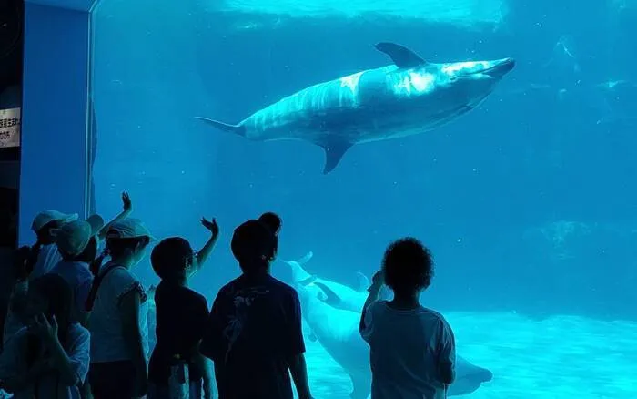 パンダの宝物　明治校/名古屋港水族館