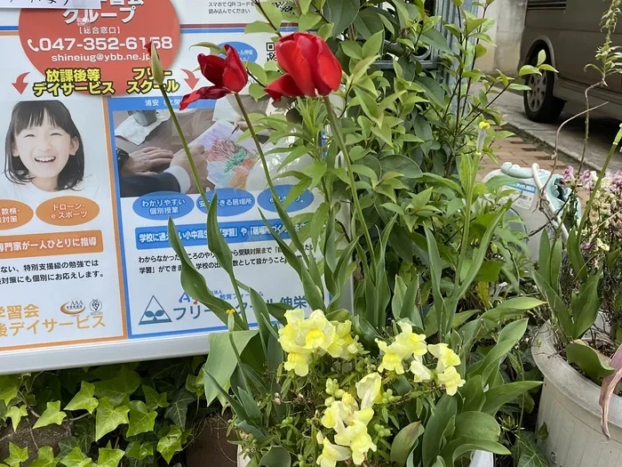 伸栄学習会 わかばの子（児童発達支援）/風にも負けず　咲く小さなお花