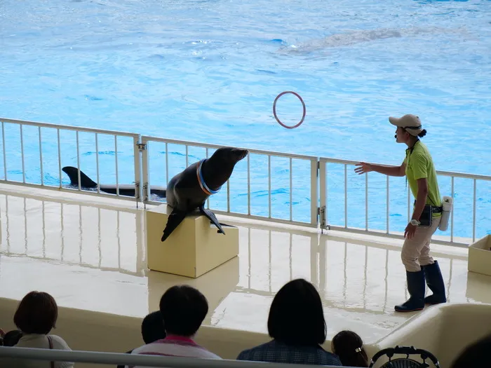 こぱんはうすさくら　佐賀光教室/【8月のプログラム延期】バスで水族館に行こう！について