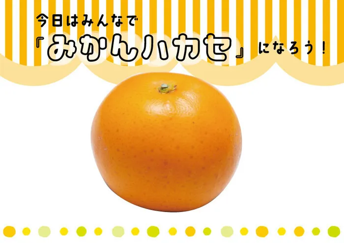 こぱんはうすさくら　佐賀光教室/毎月恒例！フルーツの日🎶３月はみかん🍊の食べ比べ🍴