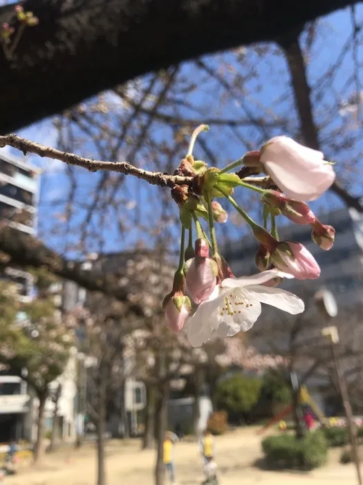 せかいのかたち/な、な、なんと！！！