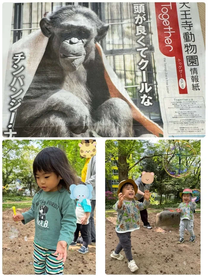 せかいのかたち/🐇来月のお楽しみ🦓