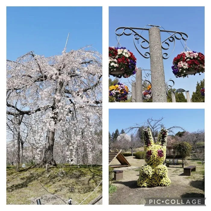 放課後等デイサービス　vive/宇治植物園🌸