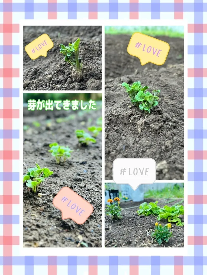 児童発達支援・放課後等デイサービス 十人十色/【芽が出ました🌱】