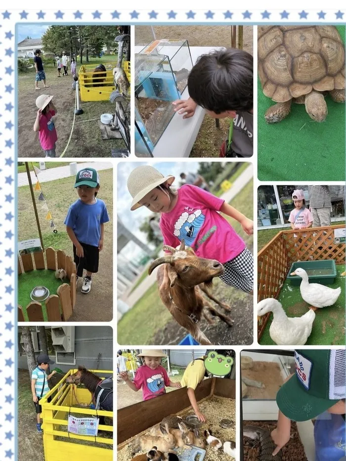 児童発達支援・放課後等デイサービス 十人十色/何がいるかな？移動動物園！🐐🐢