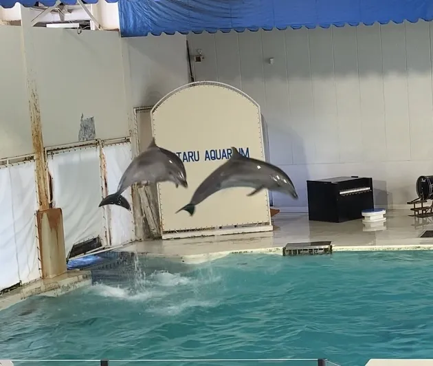 児童発達支援・放課後等デイサービス 十人十色/小樽水族館🐬