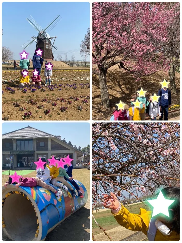 かすたねっと/あけぼの山農業公園に🌼