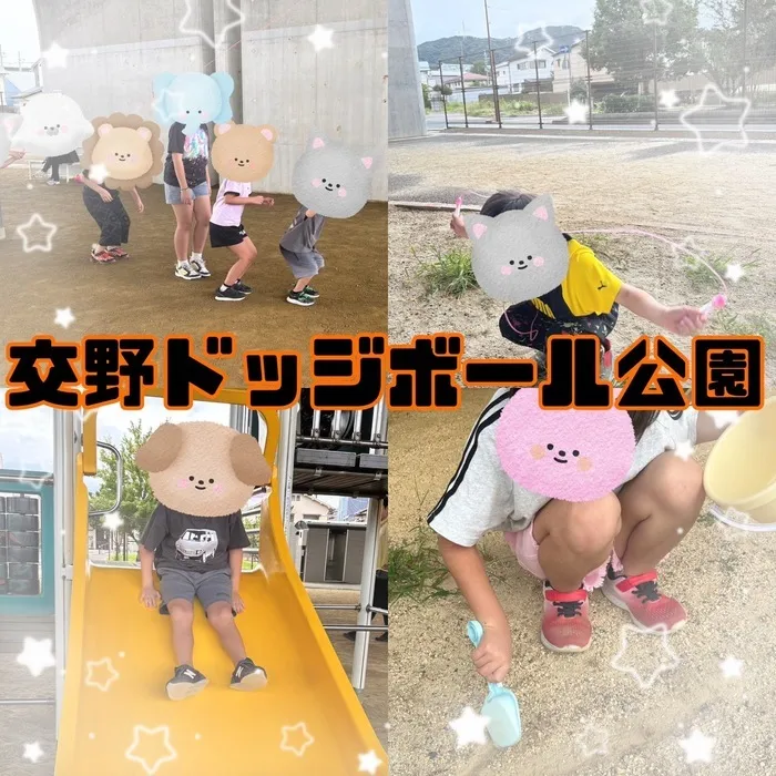 ひまわりはぁと寝屋川/交野ドッジボール公園🌷