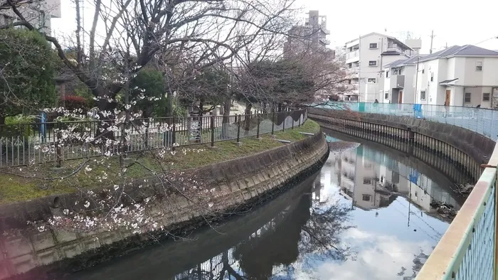 ひまわりはぁと寝屋川/外部環境