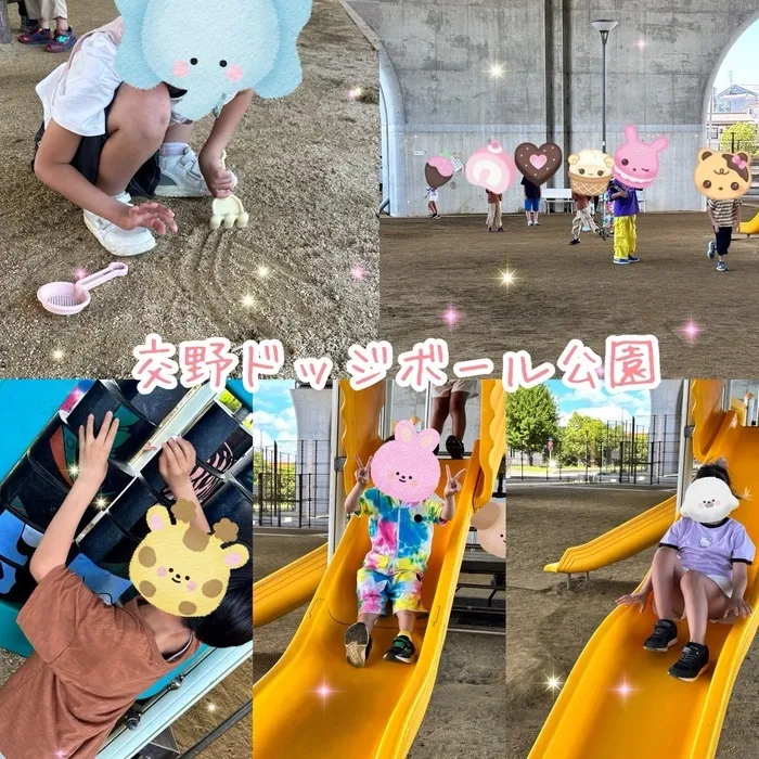 ひまわりはぁと寝屋川/交野ドッジボール公園✨️