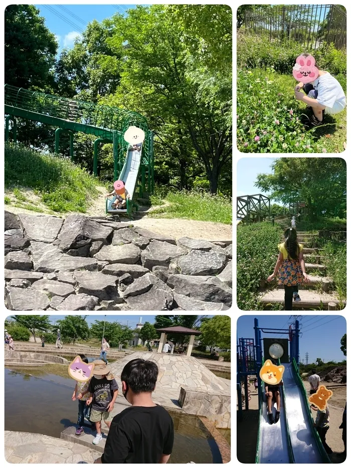 ひまわりはぁと寝屋川/6月4日 交北公園