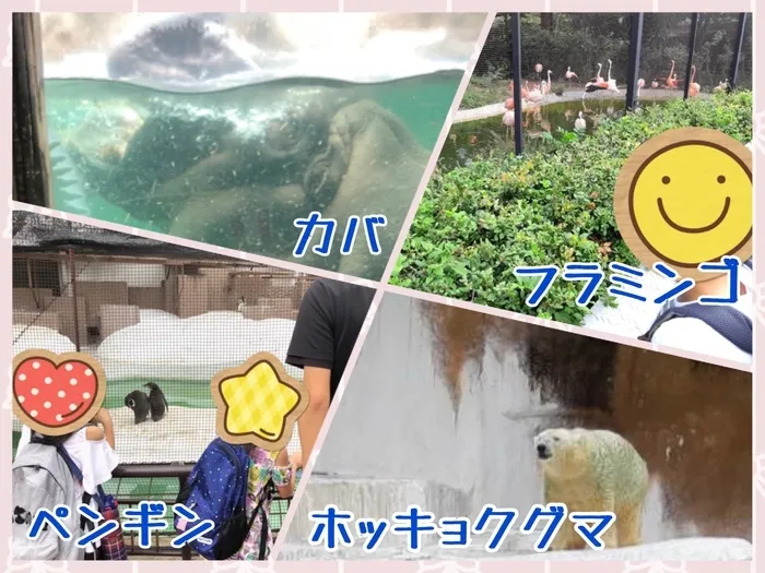 cocolo児童デイサービス/動物園に行こう！