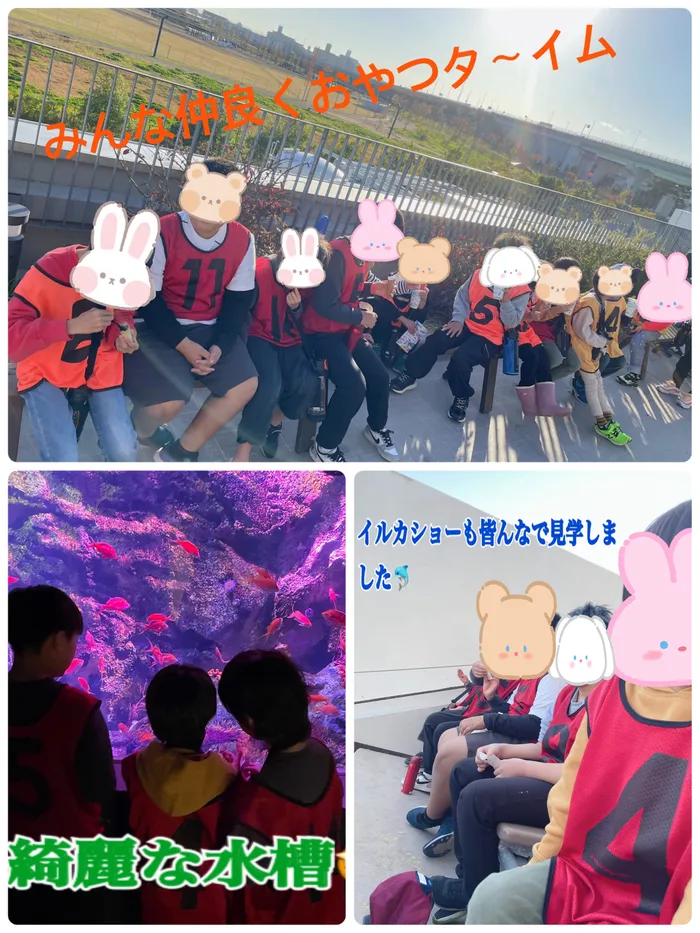 LEIF東仙台/うみの杜水族館イベント開催🐬