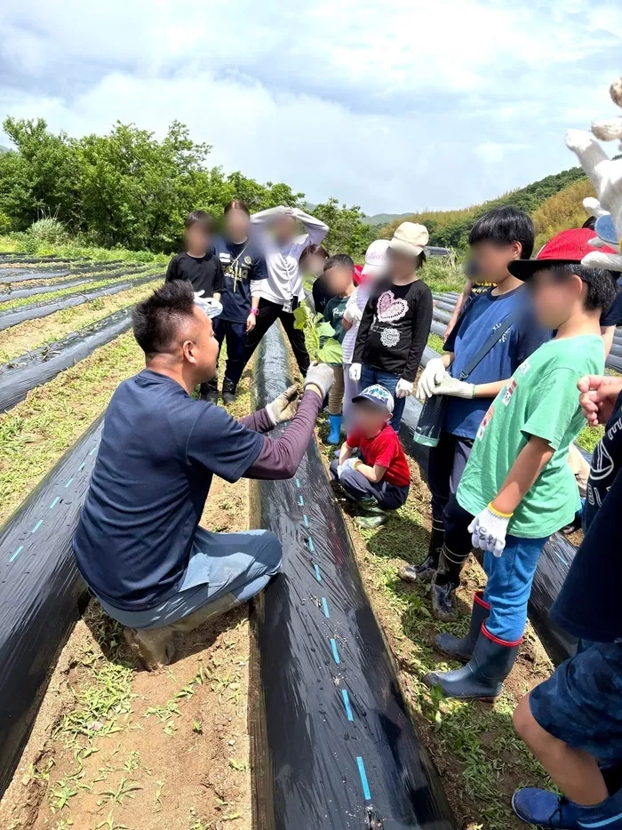 FC.LIG/苗植え🌱