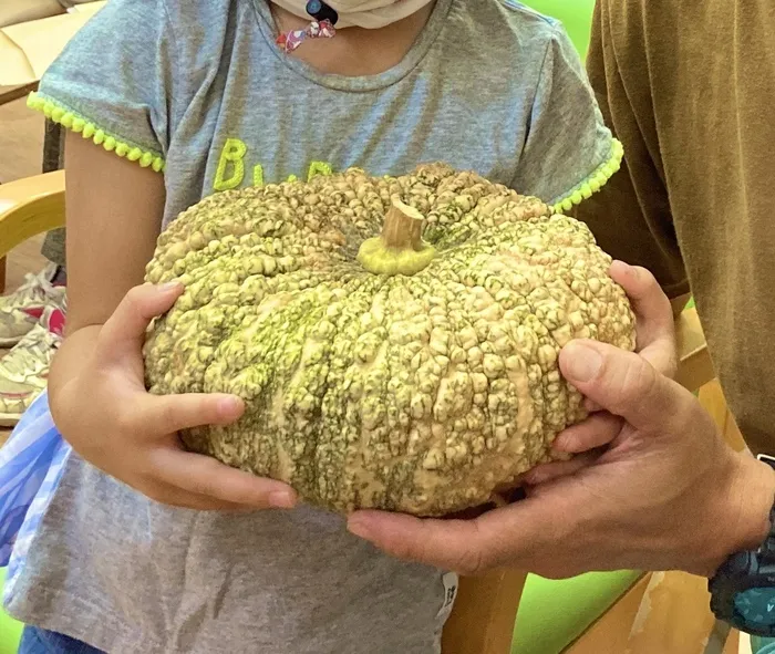 のびのび広場エムズ/愛知県の種保存会イベントに参加しました！