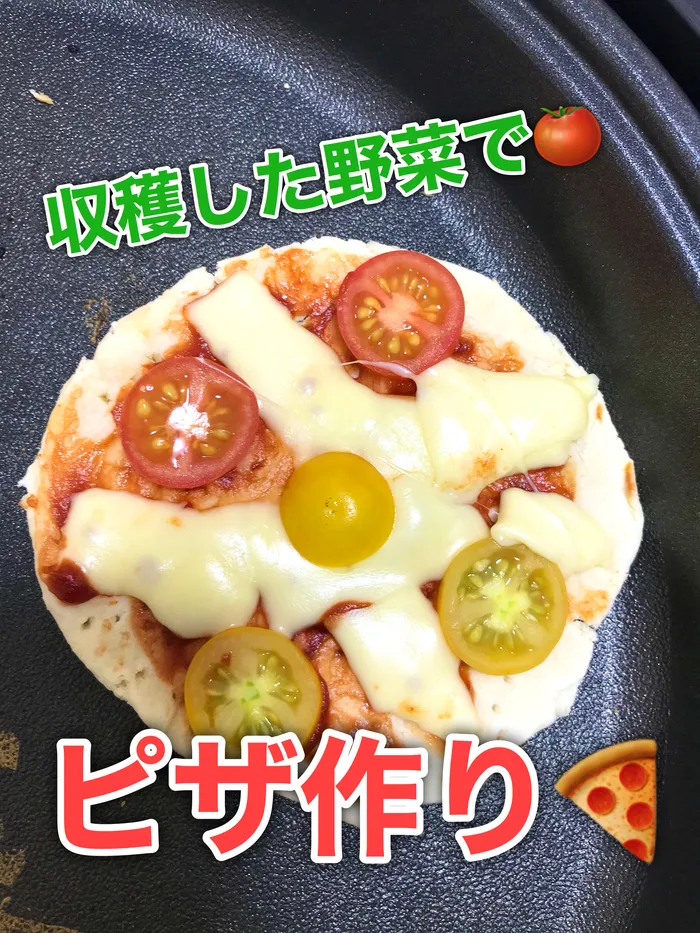 のびのび広場エムズ/収穫した野菜でピザづくり🍕