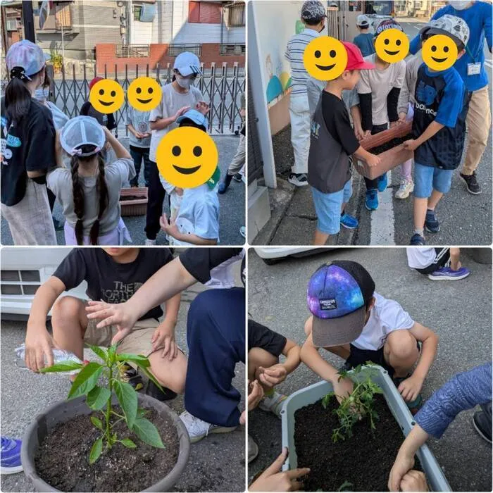 キッズライフ東福岡/6/3_夏野菜の苗植え🌱