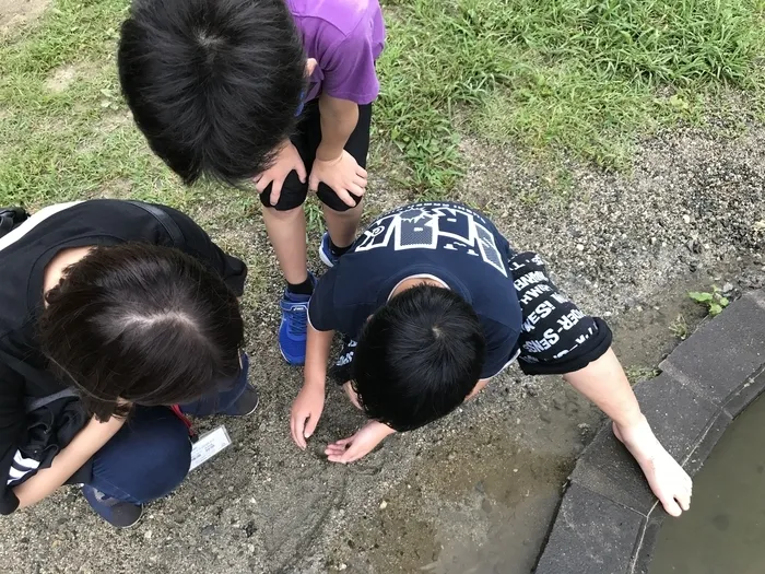 キッズライフ東福岡/鳴淵公園