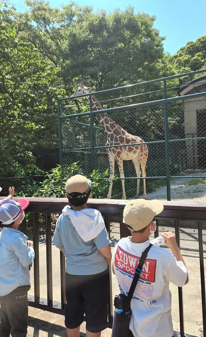 キッズライフ東福岡/動物園