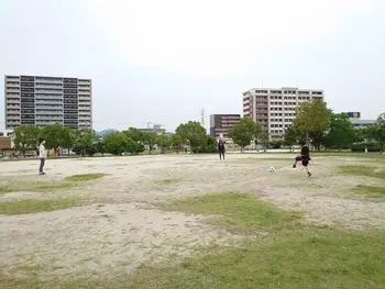 キッズライフ東福岡/屋外でボールフィーリング