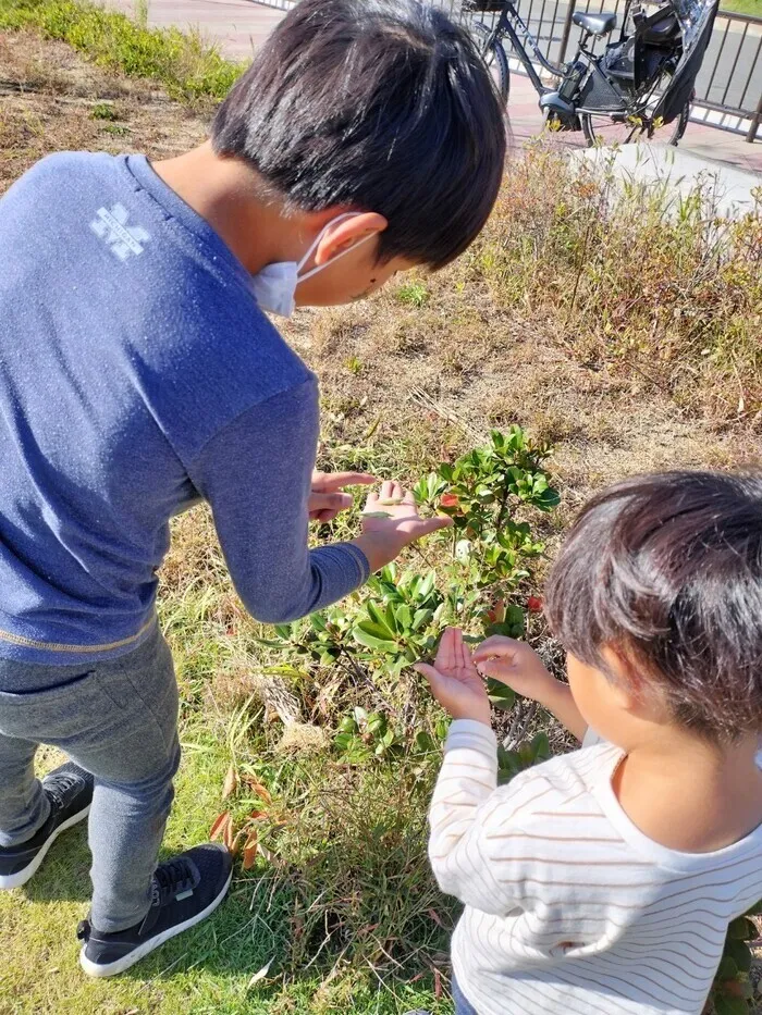 きりんのあくび　kids　ながせ/🍂秋の公園遊び🍁