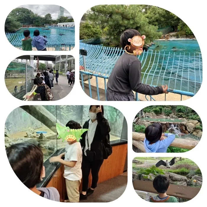 きりんのあくび　kids　ながせ/🦒天王寺動物園🦒