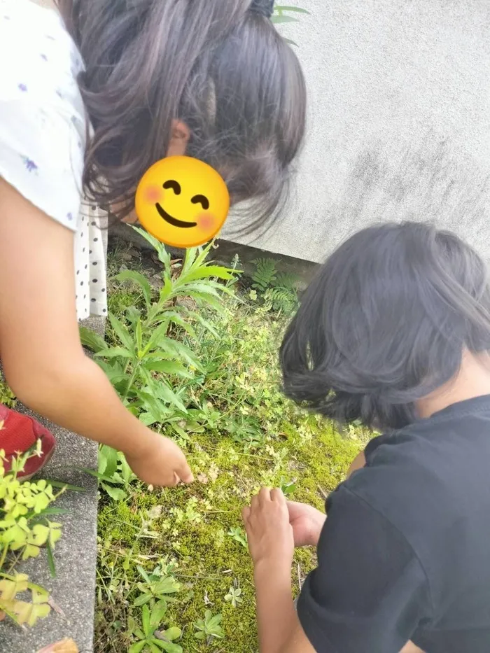 きりんのあくび　kids　ながせ/🍃ダンゴムシ探し🍃